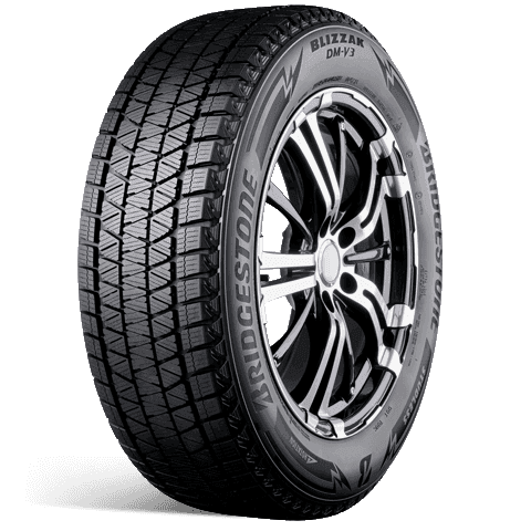 Bridgestone Blizzak Dm-V3